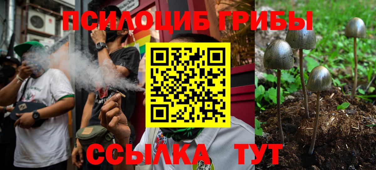 Псилоцибиновые грибы Psilocybine cubensis Егорьевск