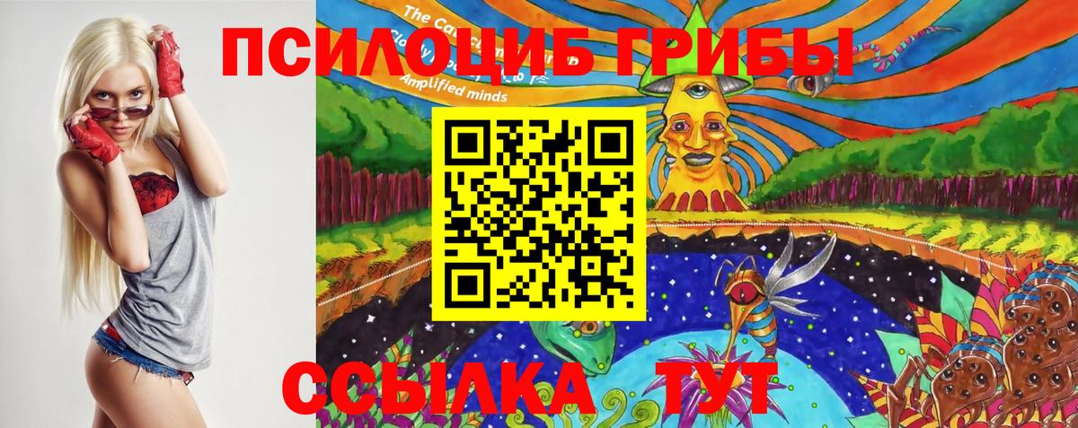 Галлюциногенные грибы Psilocybe  Вход с VPN  Егорьевск 